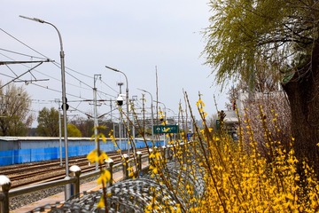 5D9037F4-09B7-4D29-A59C-9D5D1AA6AFDC/L0/001
