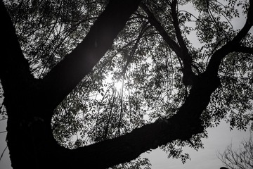 F92E6751-8EDA-4923-87D8-2CA40478FF9B/L0/001