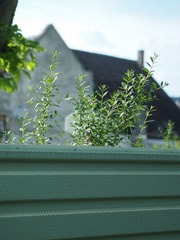 P5203061.jpg