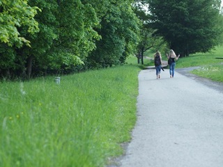 P5223120.jpg