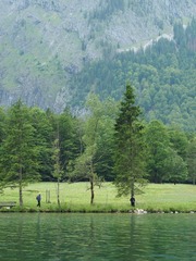 P5295423-2.jpg