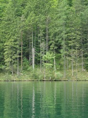P5295571.jpg