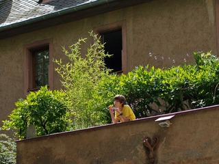 P7078424-2.jpg