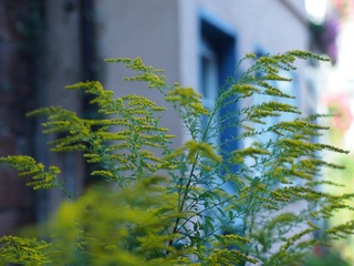 P9162404.jpg