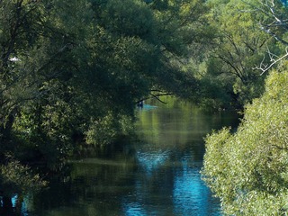 P9162436-2.jpg