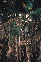 A10A9582-C7DD-44DF-B1BB-B2BB4B284C0D/L0/001