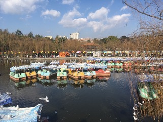 A381DD9A-5CA8-4BDE-8F6C-22582B534E85/L0/001