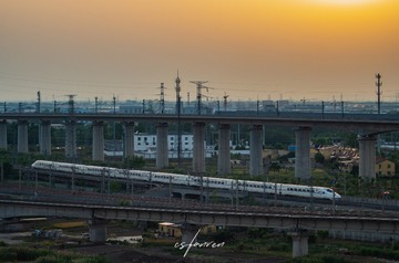 1000059454
