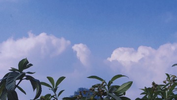 680C5FD2-B33D-4EFE-B16F-476AD775A7EF/L0/001