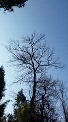 1788051