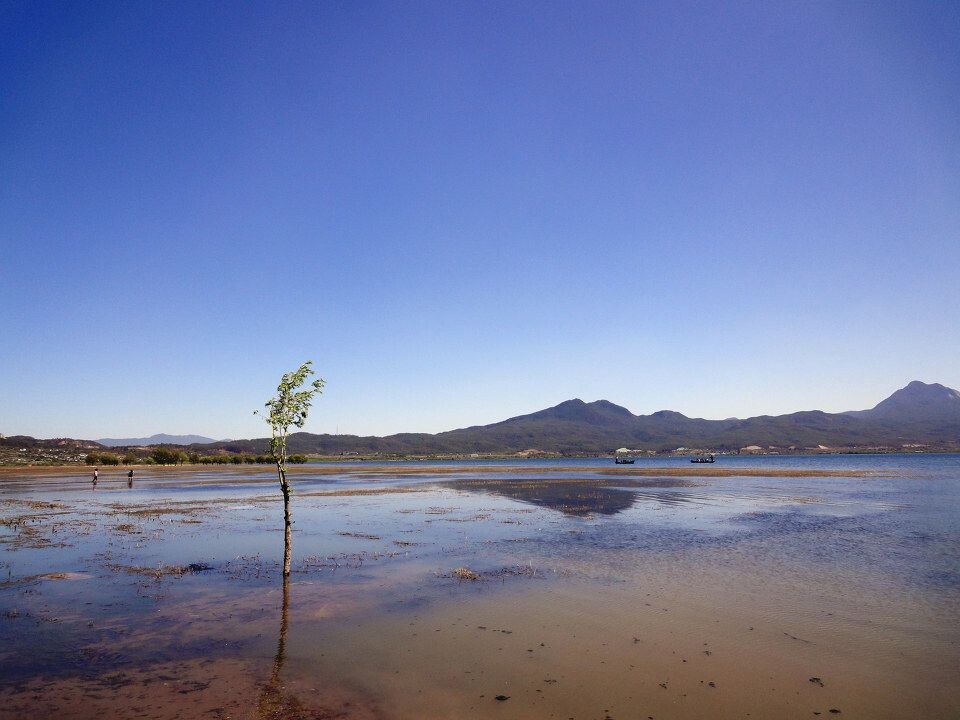 拉市海<br />
走在茶马古道上看拉市海，一片蔚蓝！ <br />
可能是因为这里的天很蓝，于是水更蓝了。<br />
 几人一只小舟，纳西族黑黑的小伙带领我们泛舟湖中，心旷神怡~~ <br />
不是水性杨花的季节，景色差点就更圆满了。