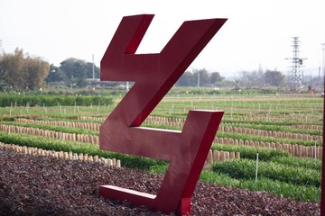 270