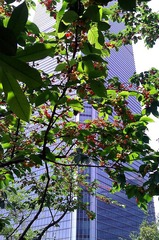 WP_001761_1024.jpg