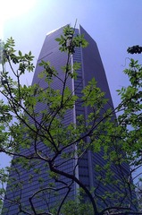 WP_001764_1024.jpg