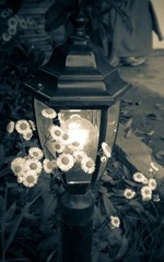 DSCN0764_1024.jpg