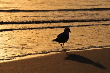 DSC_7813_800.jpg