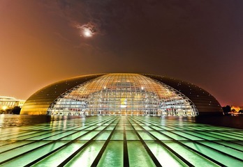 鸟蛋.jpg