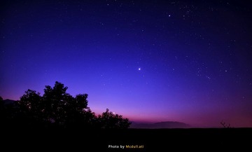 IMG_5638.jpg