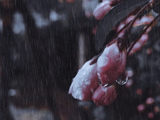 9437DFC8-396D-4FCD-8B67-C4C10EDDF192/L0/001