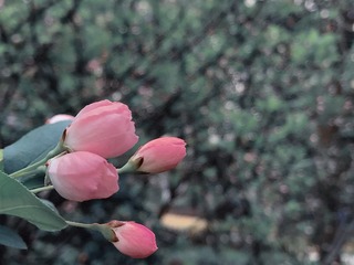 F35C85F5-B053-4BA3-BBB8-E17BB29BF276/L0/001