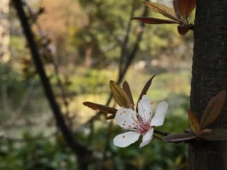 302936CE-1E5D-4D44-BAF0-C687B46CD039/L0/001