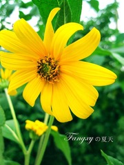 IMG_3252_副本.jpg