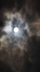 96C24C4A-A8C3-4515-A84E-F1A8C2518437/L0/001
