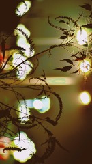 B4212068-2DD5-4418-A8CB-3B5EEE1803D9/L0/001