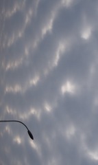 8135A570-4C2D-4223-9EF8-09F5B0B152A6/L0/001