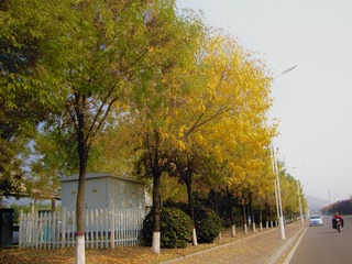 E4123E71-8A7D-403A-8378-B13C255B6D06/L0/001
