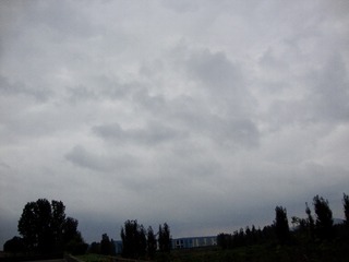 99D4F3C2-A756-43DE-9E83-E0C7CA1AA0BE/L0/001