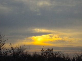 F31952C6-F053-4753-BBCD-129F8A07698A/L0/001