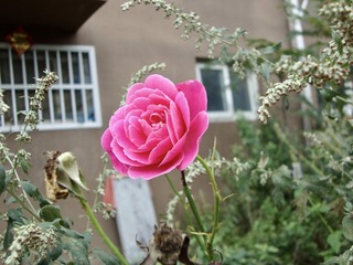 68E6D6CF-9539-4FAE-9EB9-9F6B709DF10F/L0/001