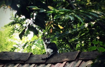 IMG_7715_副本.jpg