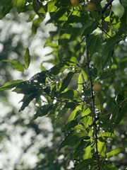 D7423E64-71D8-4BF6-AB7C-849AD8D14554/L0/001