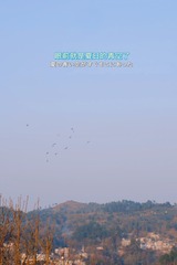 3FEBC87D-CA2C-41A3-ACA8-95CB14C2A02C/L0/001
