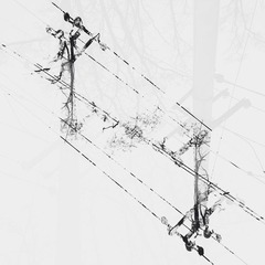 403－07