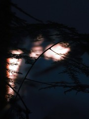 E23692EB-D019-4A2B-BB7D-7829972BCDD6/L0/001