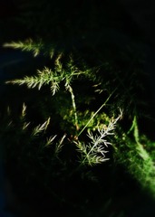E80C8315-62D2-4EAB-9F75-94E6AFF7A2CC/L0/001