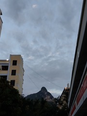 1000034601