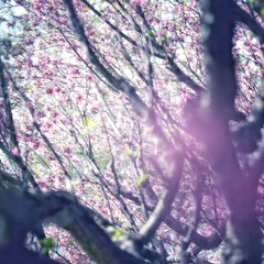 7E1B84D0-05FA-43E5-BC5E-3B01C01CC19F/L0/001