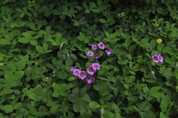 _MG_0150.JPG