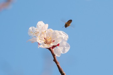 23FE9702-BE20-4DA2-977C-6E2C6D4C61D1/L0/001