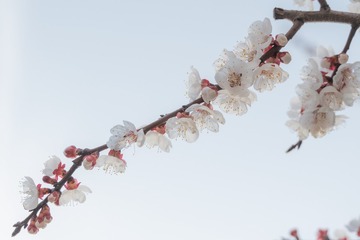 0F50E5F3-17C8-4F94-AE28-6FE94218EB0C/L0/001