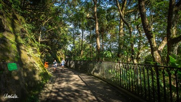 Lugard Road