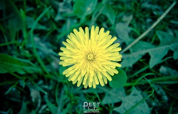 20120429-未命名-0053.jpg