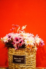 9E008ED1-3253-4E5B-9097-3689775CB88A/L0/001
