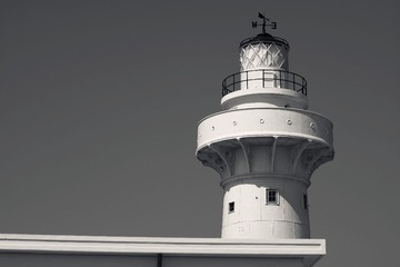 010.jpg