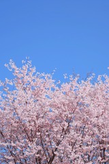 5332C21E-29F0-4183-B7CF-F0F43D6257F9/L0/001
