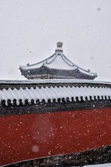 91671BA4-37E1-4591-B28D-AA142F23AA8B/L0/001